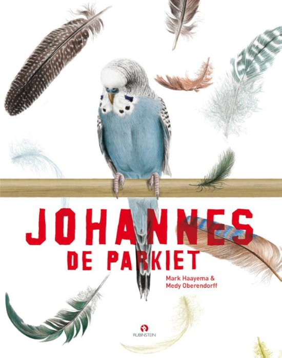 Johannes de Parkiet